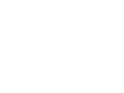 LST Beargrip