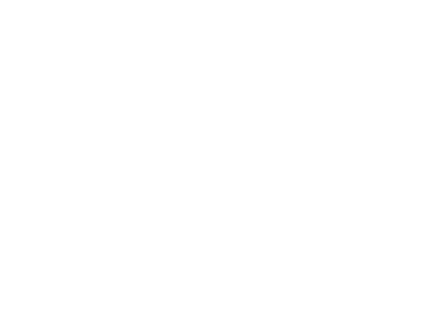 LST LABbazic